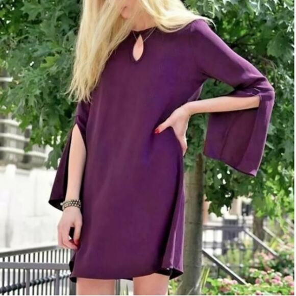 Calypso St Barth Purple Sulisa Silk Bell Sleeve Mini Dress XS Extra Small $325 - Picture 1 of 8